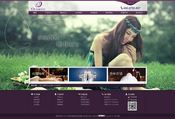 上海营销型网站建设为什么成为市场的主流